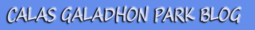 CALAS GALADHON BLOG copy