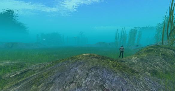 Vast underwater area with sea turtles, scuba gear, cuddle & mer dance ball on Sea of Nurnen