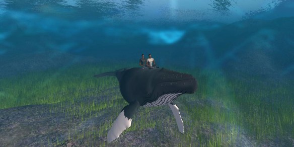 Marcus giving the boys a ride