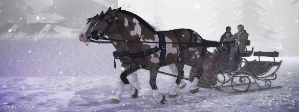 Sleigh ride at Noel from Tomais Ashdene