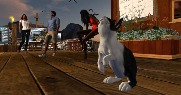 Duncan Bagley 3252015_004