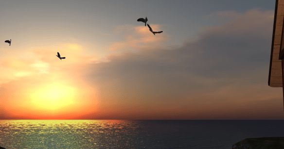 Voodoo Shilton Dolphin Cafe 5 26 2015_025_061