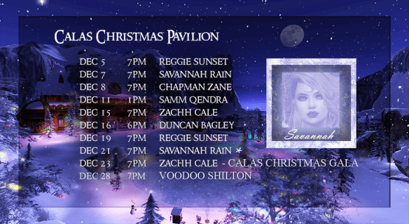 savannah-rain-dec-21-2016